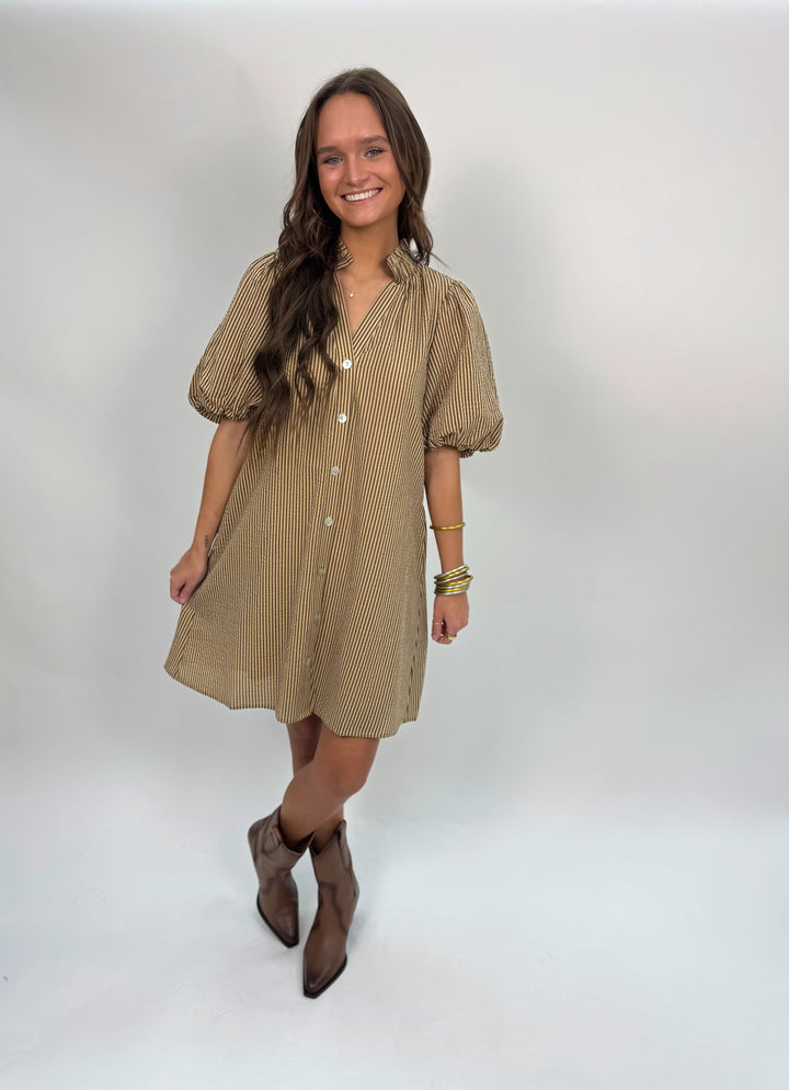 Puff Sleeve Striped Button Up Dress
