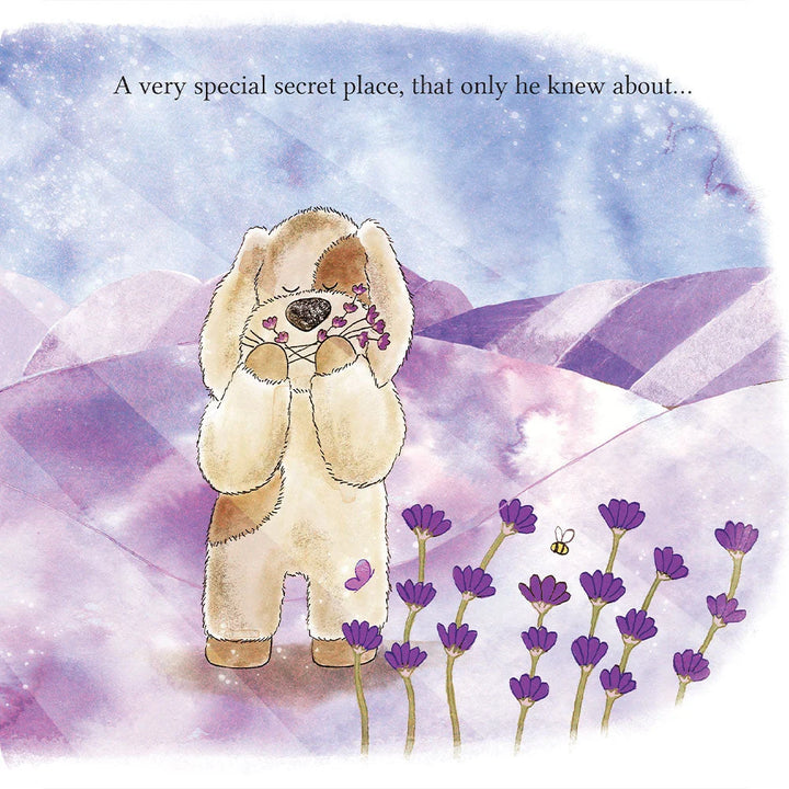 A Special Secret Place Book