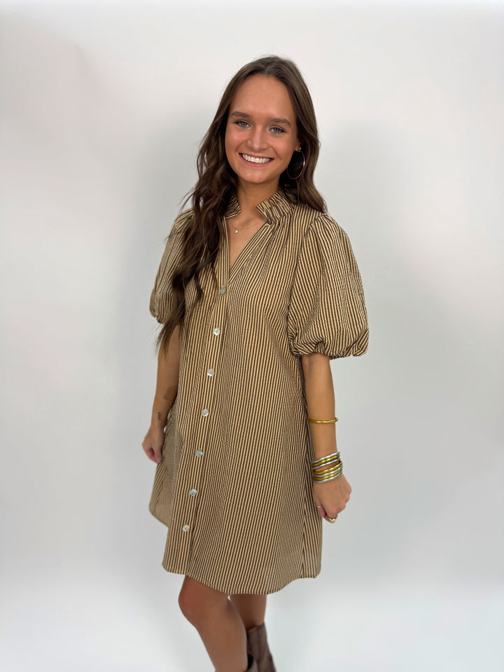 Puff Sleeve Striped Button Up Dress