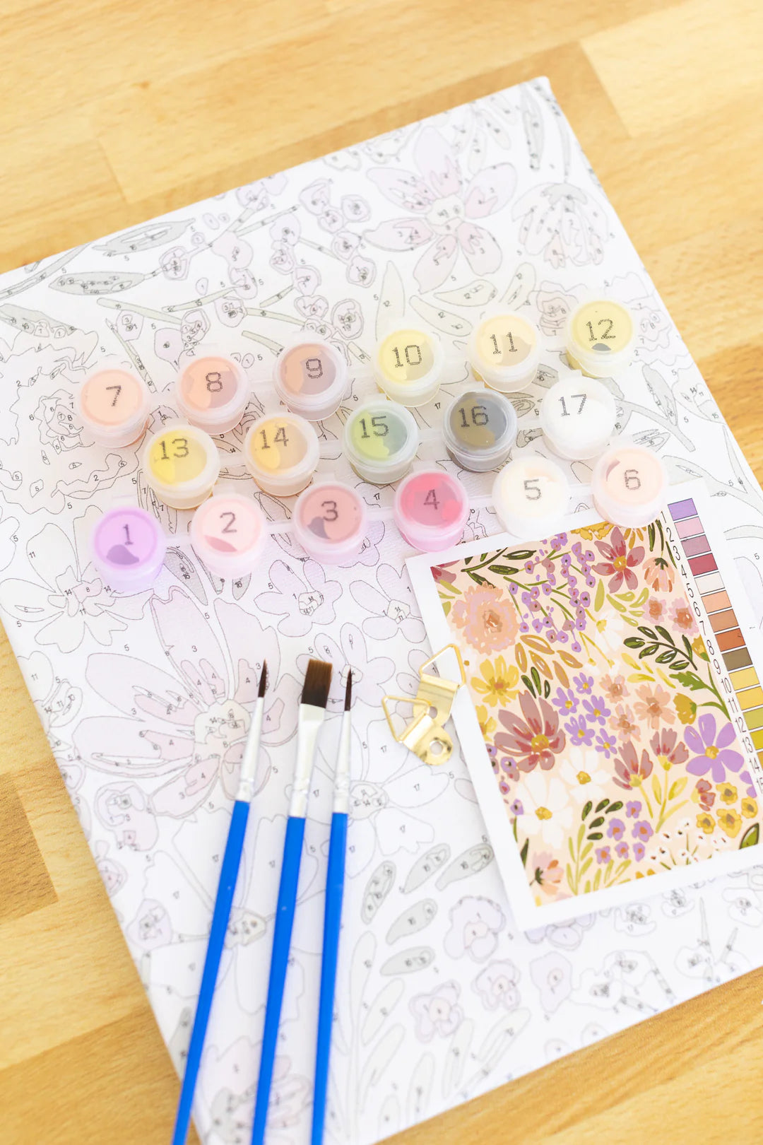 Paint by numbers kit Primrose Petals