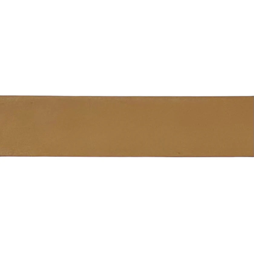 Brown Leather Belt Band