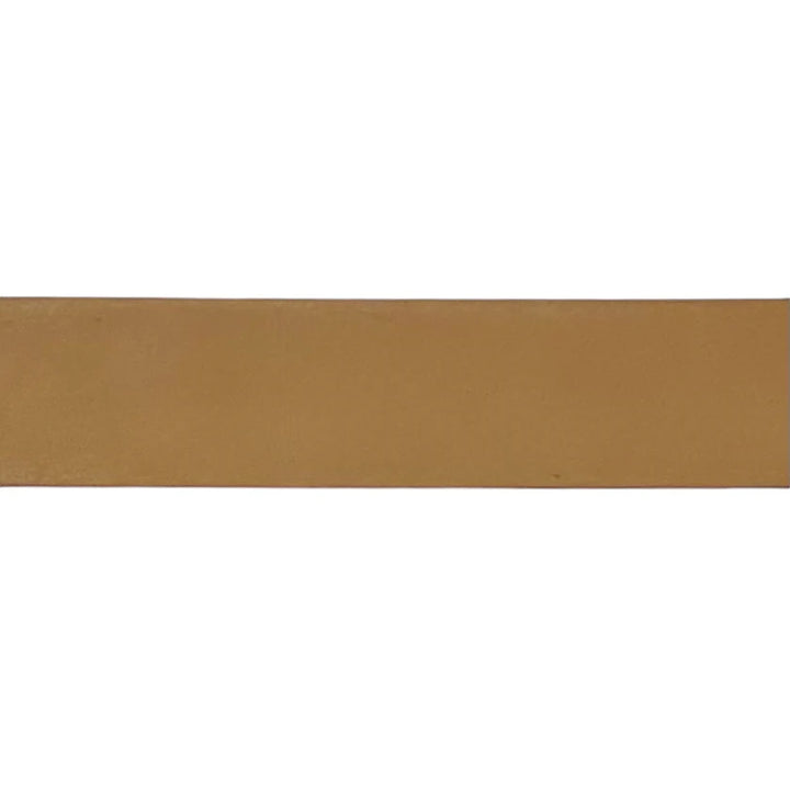 Brown Leather Belt Band