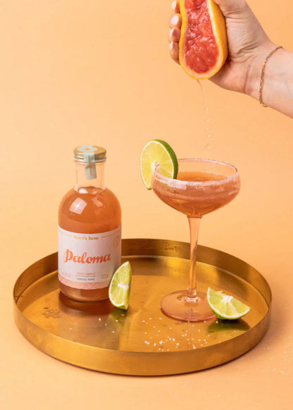Paloma Mixer
