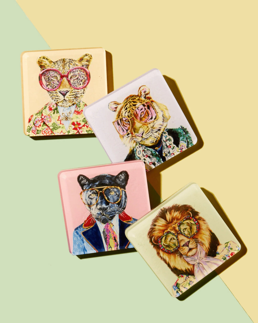 Big Cats Acrylic Coaster | Set of 4