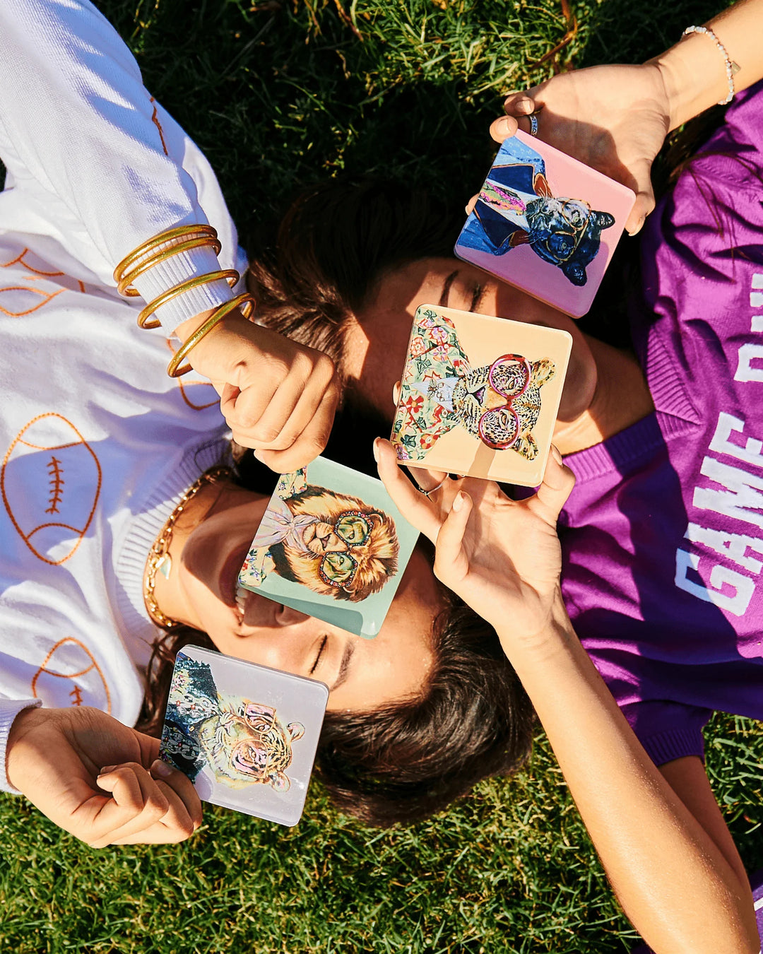 Big Cats Acrylic Coaster | Set of 4