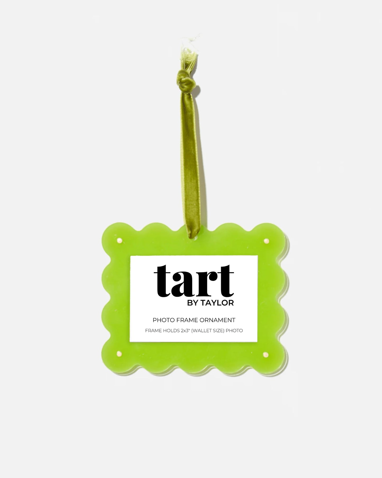 Kiwi Frame Ornament